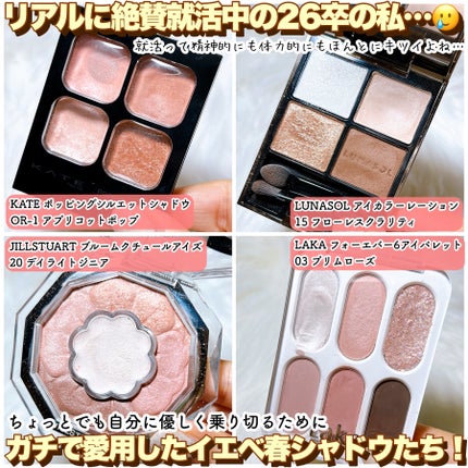 アイカラーレーション/LUNASOL/アイシャドウパレットを使ったクチコミ(2枚目)