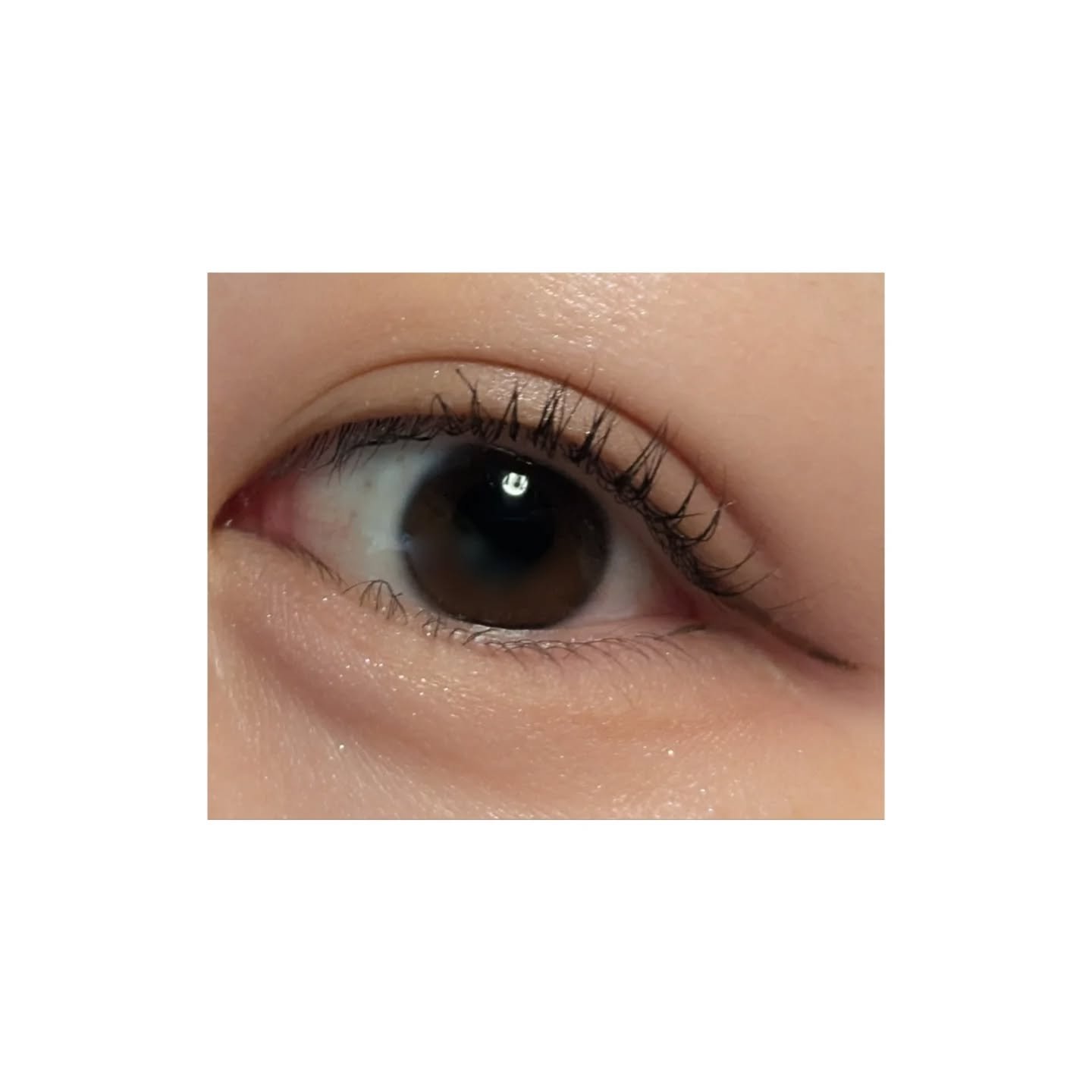 プランぷくコーデアイズNeo/キャンメイク/アイシャドウを使ったクチコミ（3枚目）