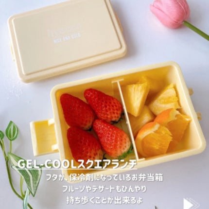 ひだまり@毎日投稿✨ on LIPS 「痛みが気になる春夏のお弁当箱に𓇨𓌈保冷アイテムが充実したロ..」(4枚目)