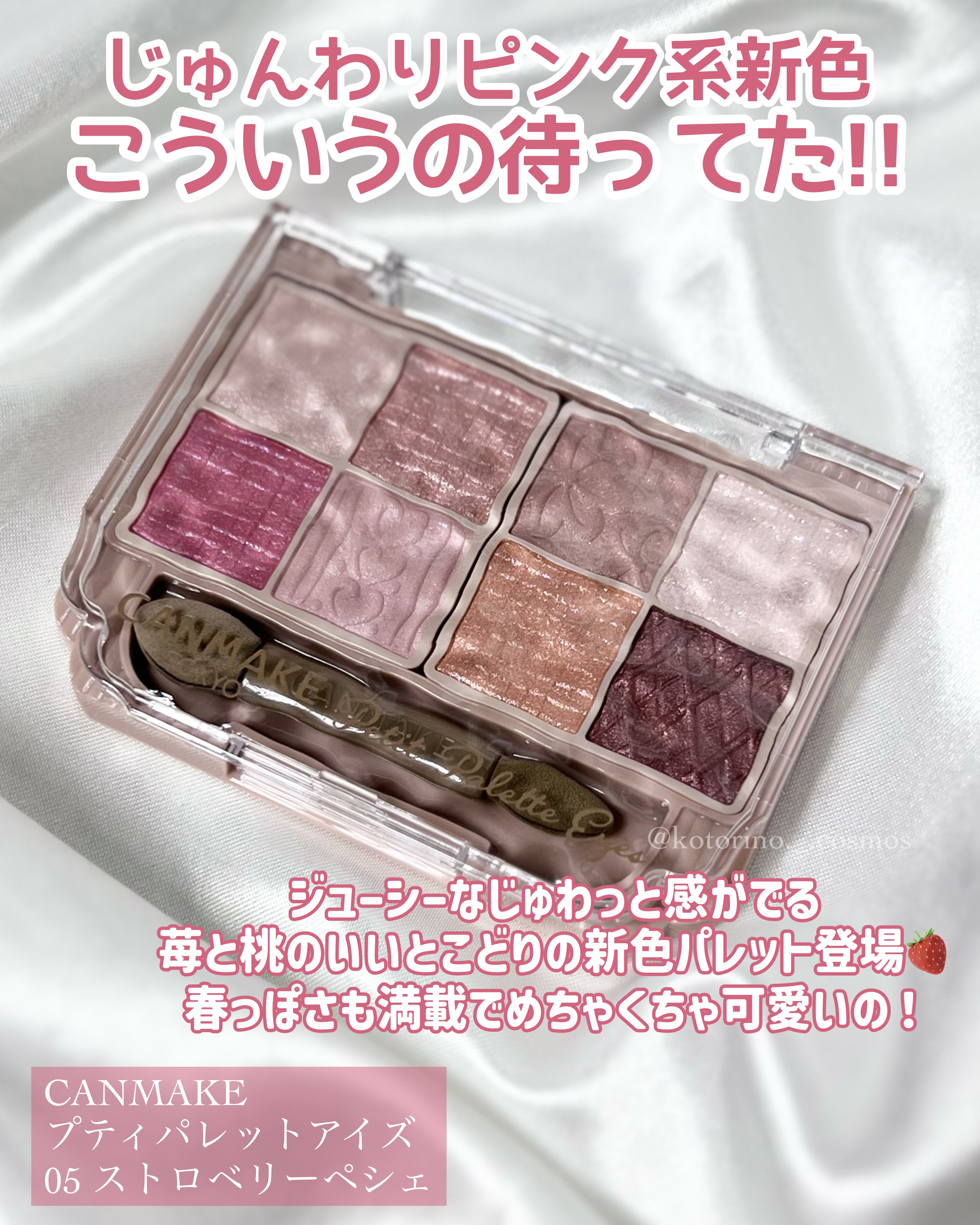 プティパレットアイズ/キャンメイク/パウダーアイシャドウを使ったクチコミ（2枚目）