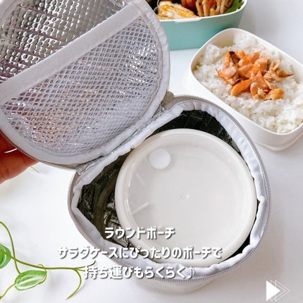 ひだまり@毎日投稿✨ on LIPS 「痛みが気になる春夏のお弁当箱に𓇨𓌈保冷アイテムが充実したロ..」(8枚目)