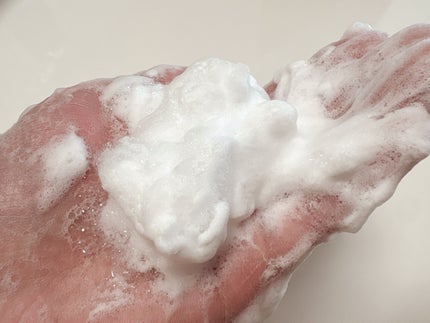 スキンコンディショニング洗顔/ファンケル/洗顔フォームを使ったクチコミ(2枚目)