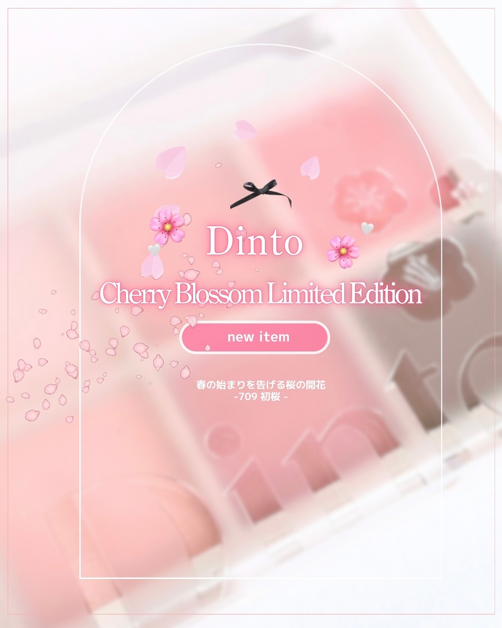 ブラーフィニシュシャドウパレット/Dinto/アイシャドウパレットを使ったクチコミ（2枚目）