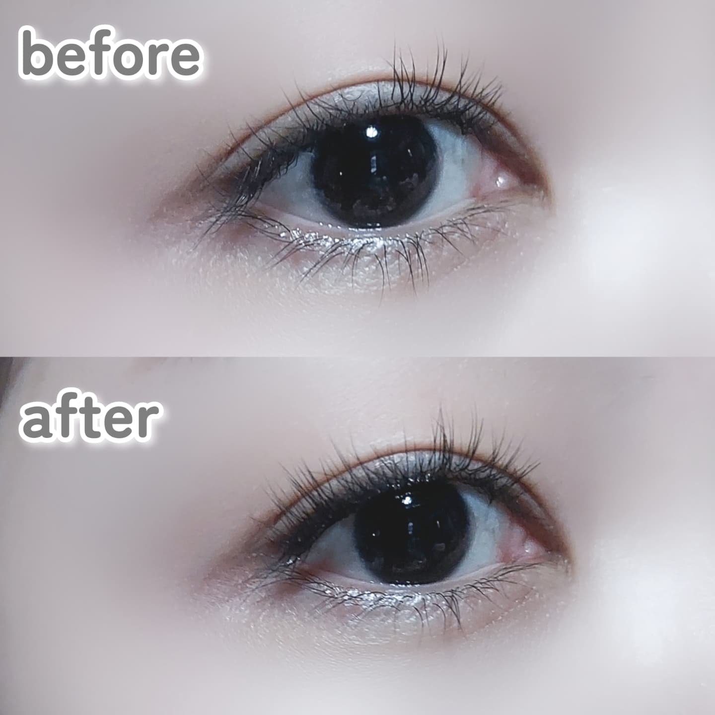 keybo BBiBBi LASH/keybo/つけまつげを使ったクチコミ（3枚目）