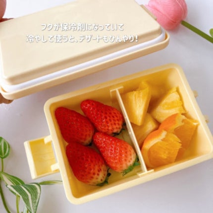 ひだまり@毎日投稿✨ on LIPS 「痛みが気になる春夏のお弁当箱に𓇨𓌈保冷アイテムが充実したロ..」(5枚目)