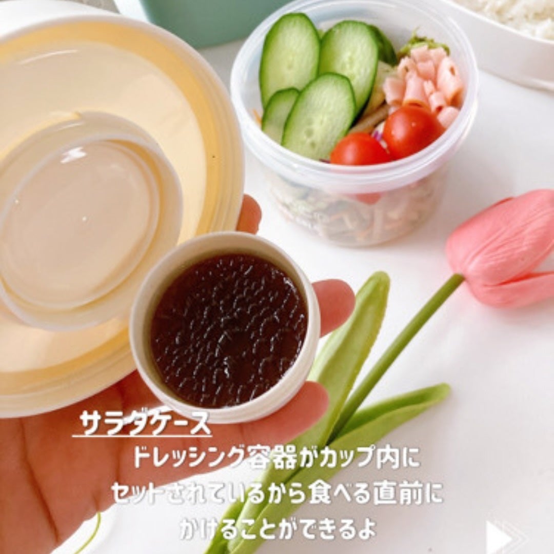 ひだまり@毎日投稿✨ on LIPS 「痛みが気になる春夏のお弁当箱に𓇨𓌈保冷アイテムが充実したロ..」(6枚目)