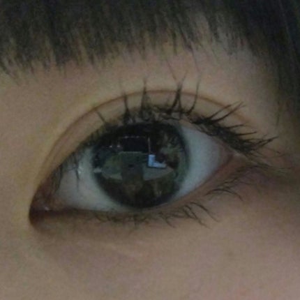 カールキープマジック/コーセーコスメニエンス/マスカラを使ったクチコミ(2枚目)