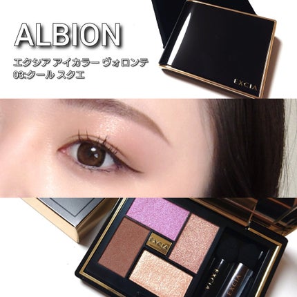 エクシア アイカラー ヴォロンテ/ALBION/アイシャドウパレットを使ったクチコミ(5枚目)