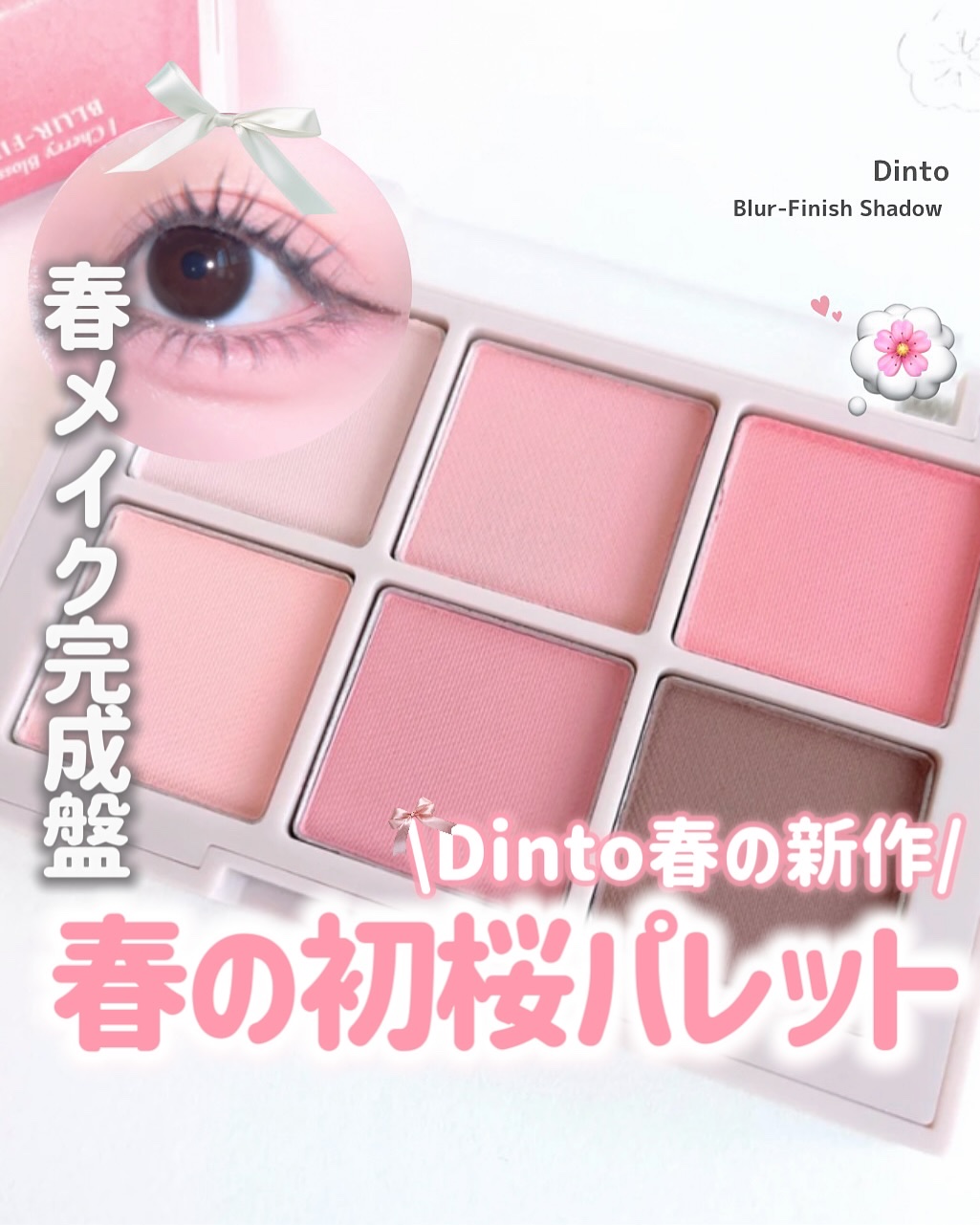 ブラーフィニシュシャドウパレット/Dinto/アイシャドウパレットを使ったクチコミ（1枚目）