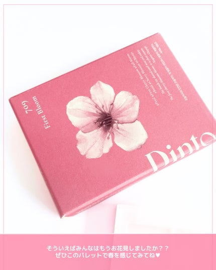 ブラーフィニシュシャドウパレット/Dinto/アイシャドウパレットを使ったクチコミ(7枚目)