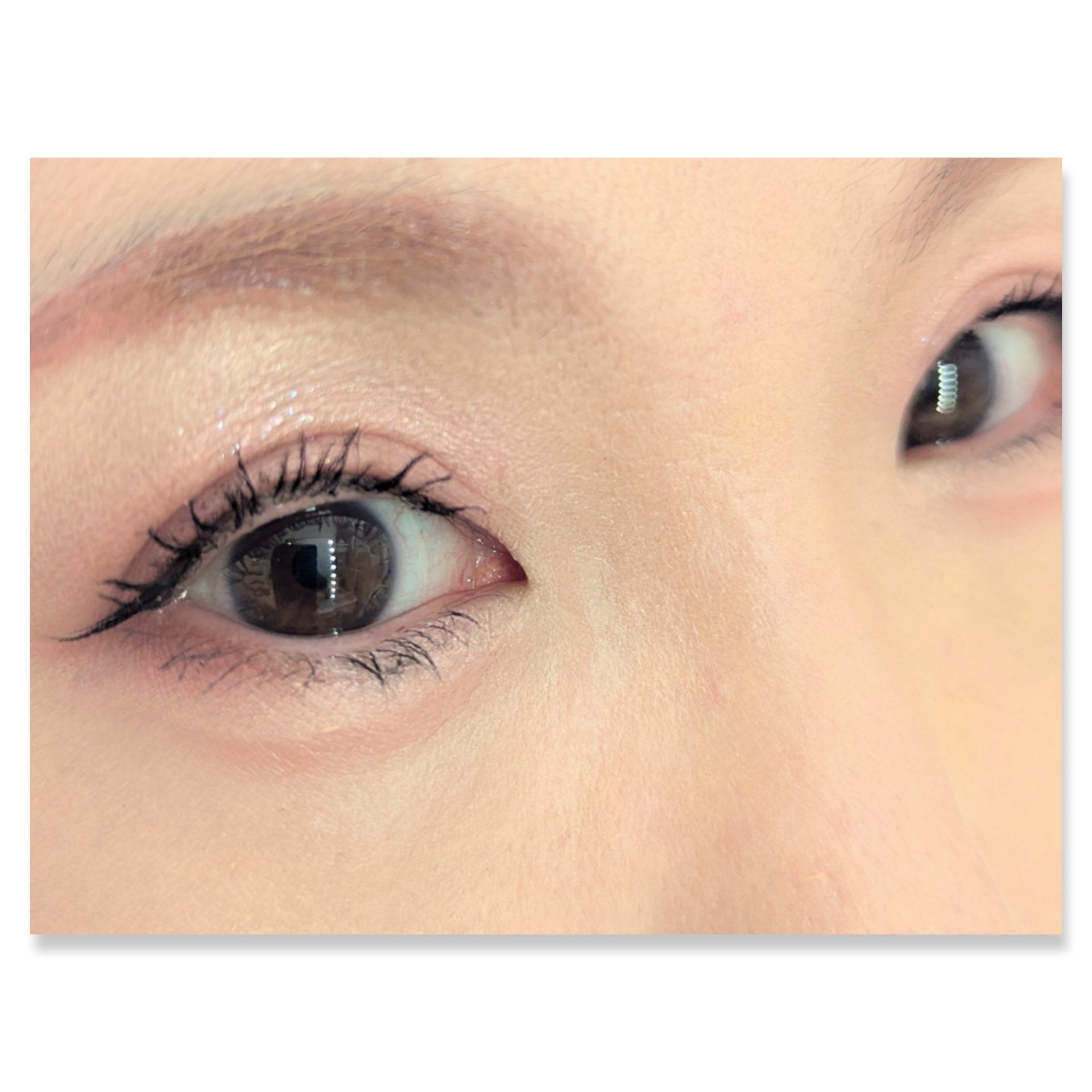 ベージュトーンアイシャドウ/CEZANNE/アイシャドウパレットを使ったクチコミ（2枚目）