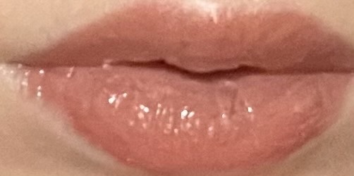 ネンマクフェイク リキッド BE332  みつばちのワルツ/Visée/口紅を使ったクチコミ（2枚目）