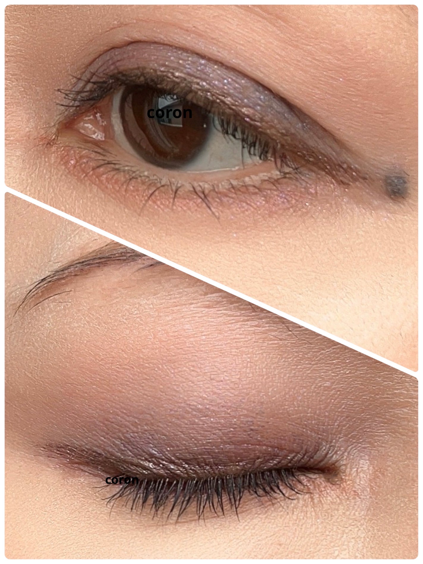 「塗るつけまつげ」ロングタイプ/デジャヴュ/マスカラを使ったクチコミ(2枚目)