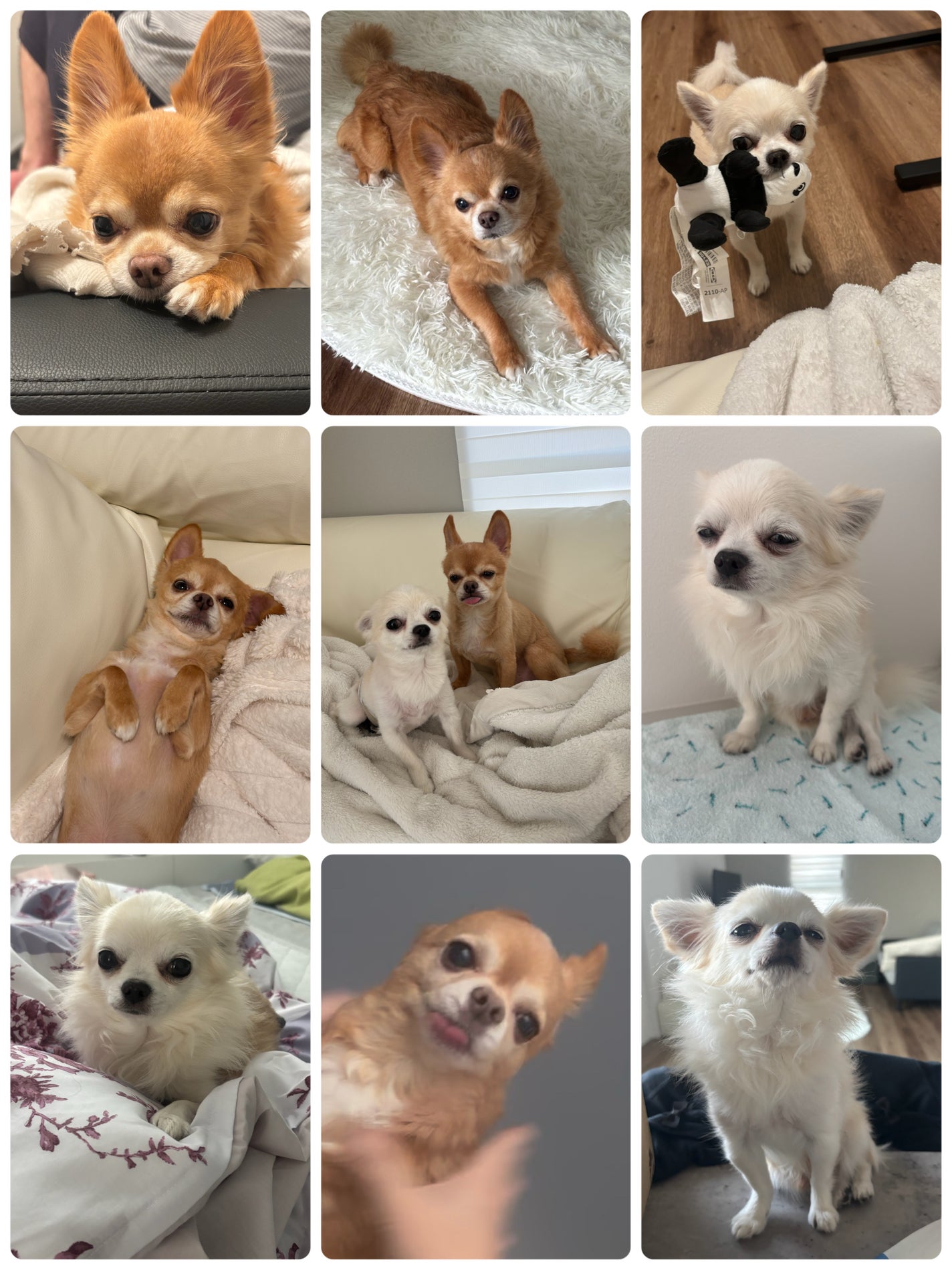 ジルスチュアート ブルームクチュール アイズ ジュエルドブーケ/JILL STUART/アイシャドウパレットを使ったクチコミ(9枚目)