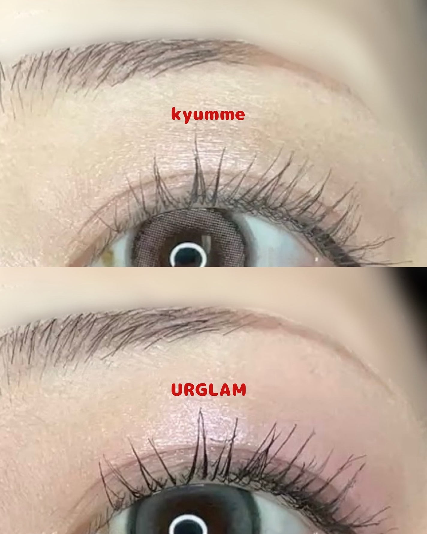 KM エクストラシャープアイブロウペンシル/Kyumme/アイブロウペンシルを使ったクチコミ(6枚目)