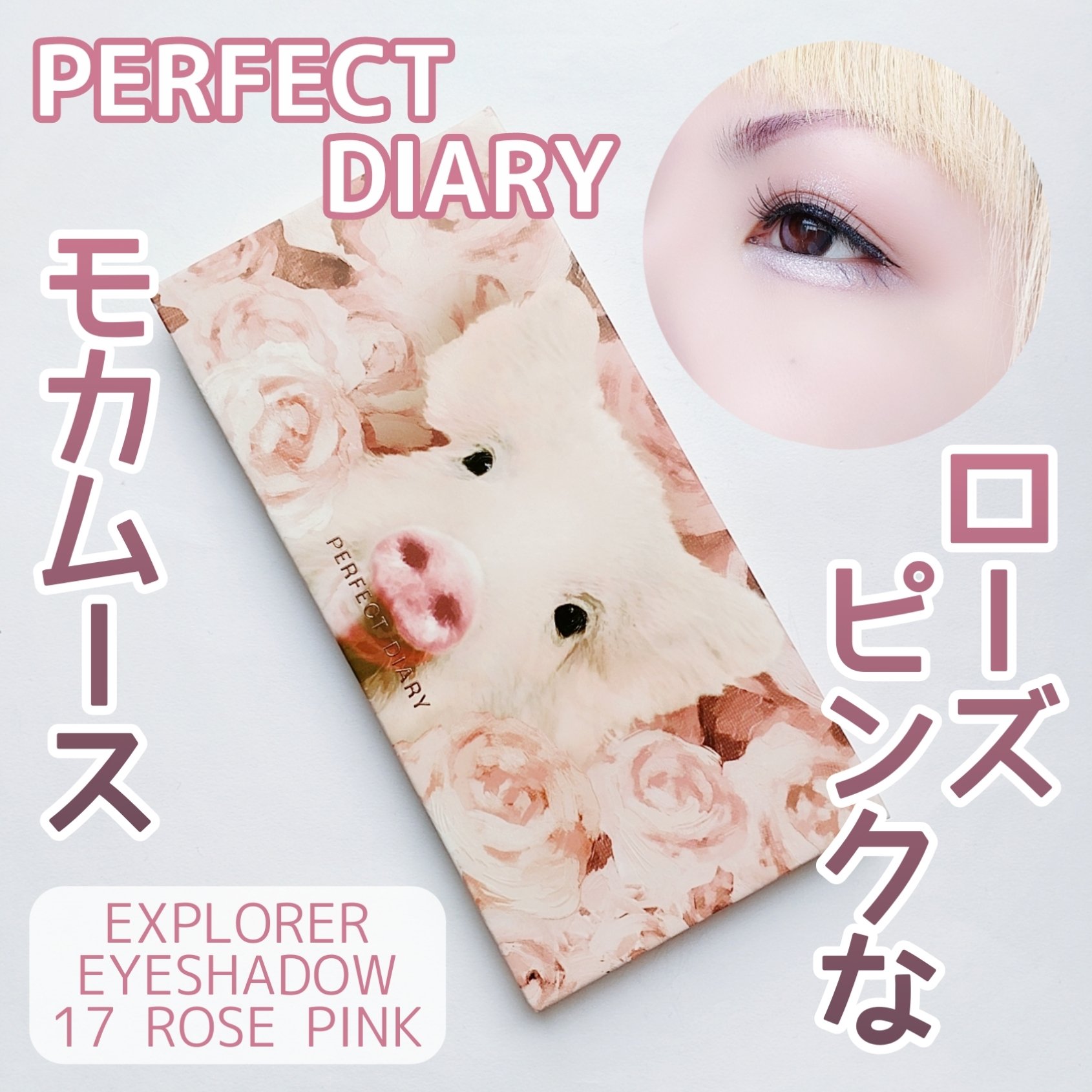 エクスプローラ12色 動物アイシャドウパレット/PERFECT DIARY/アイシャドウパレットを使ったクチコミ（1枚目）