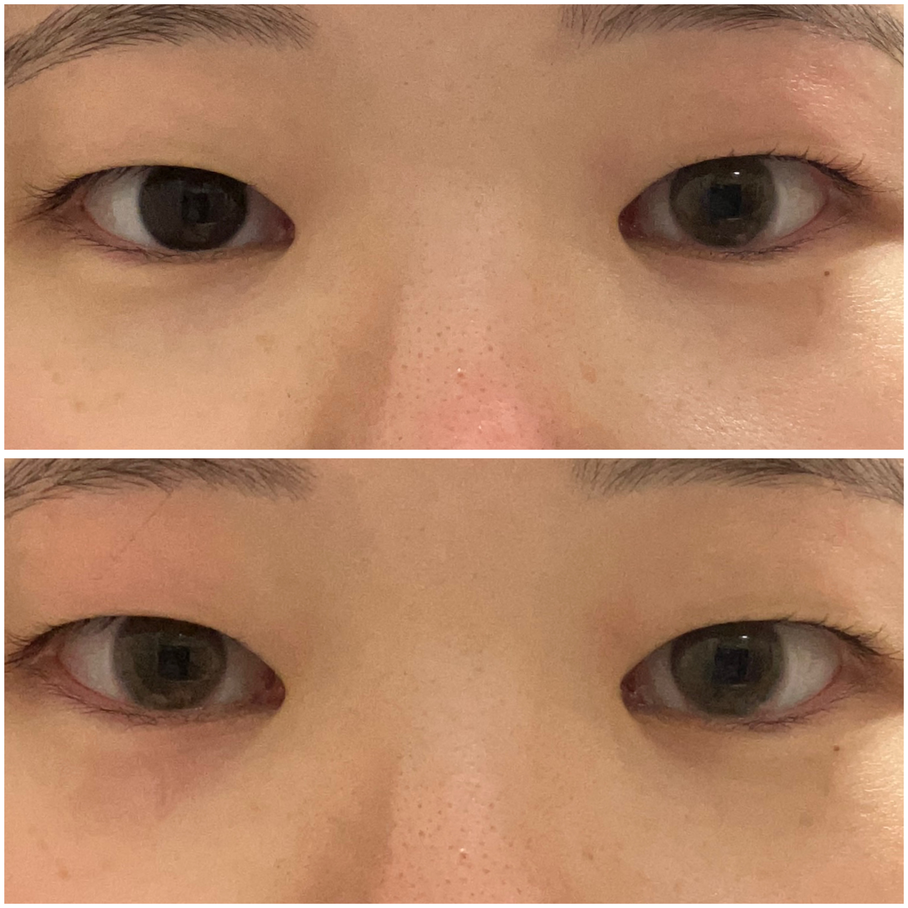 mimuco 1day/mimuco/ワンデー（１DAY）カラコンを使ったクチコミ（3枚目）