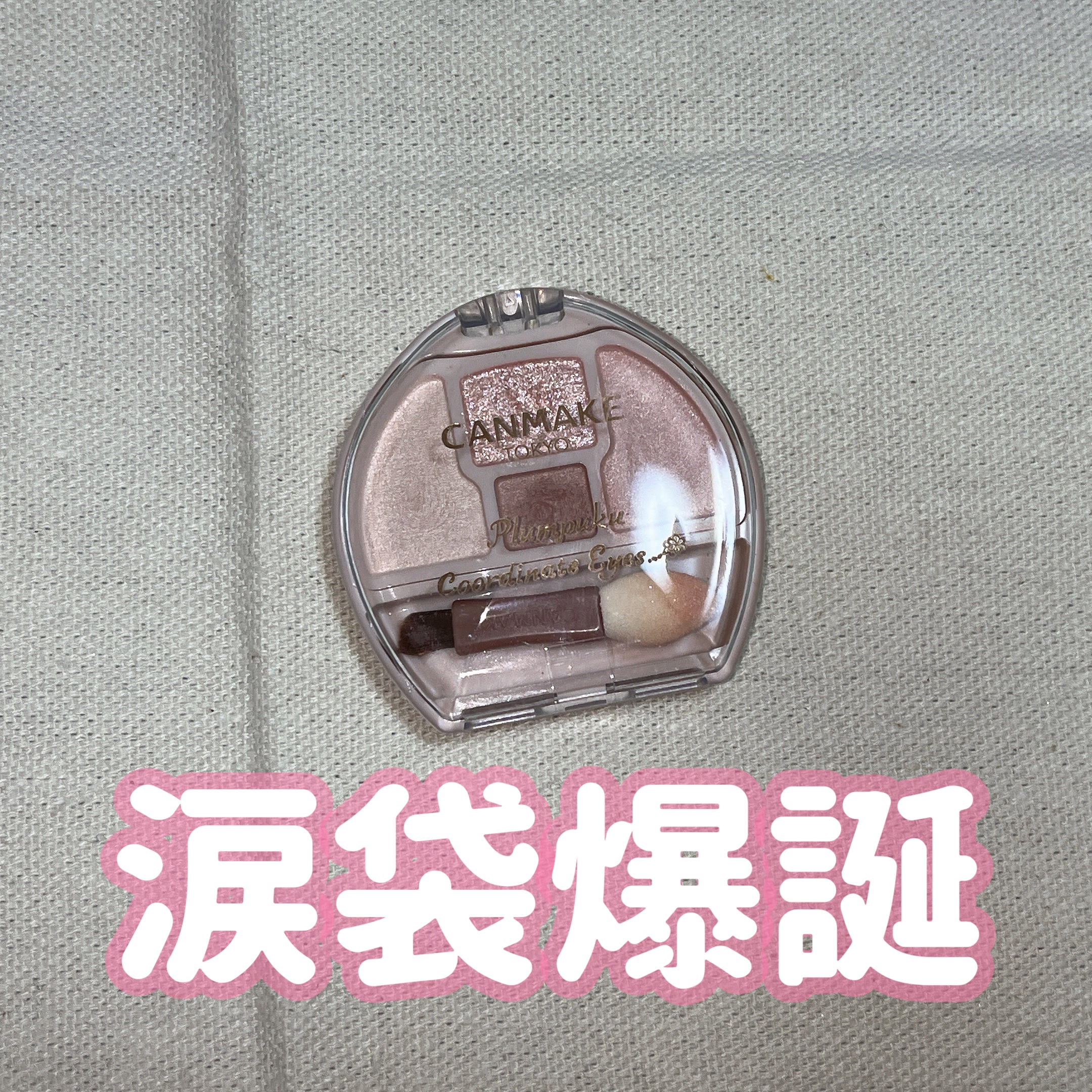 プランぷくコーデアイズNeo/キャンメイク/アイシャドウを使ったクチコミ（1枚目）