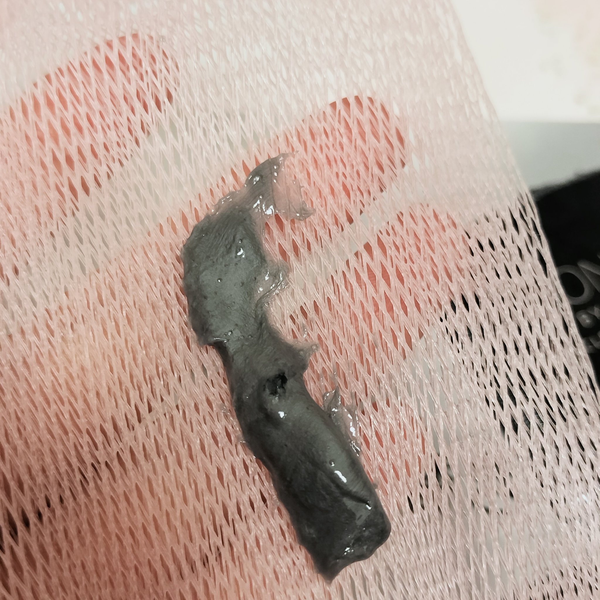 ポアクリア スクラブ ウォッシュ/ONE BY KOSE/洗顔フォームを使ったクチコミ（3枚目）