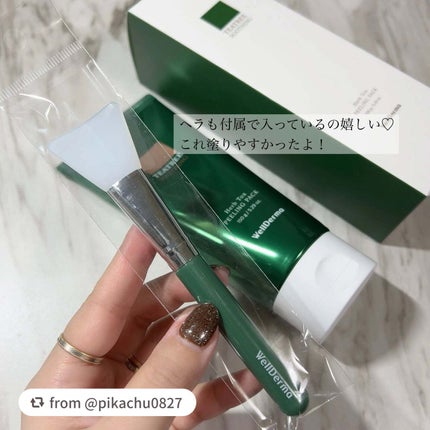 ティーツリーハーブピーリングパック/WellDerma/洗い流すパック・マスクを使ったクチコミ(3枚目)