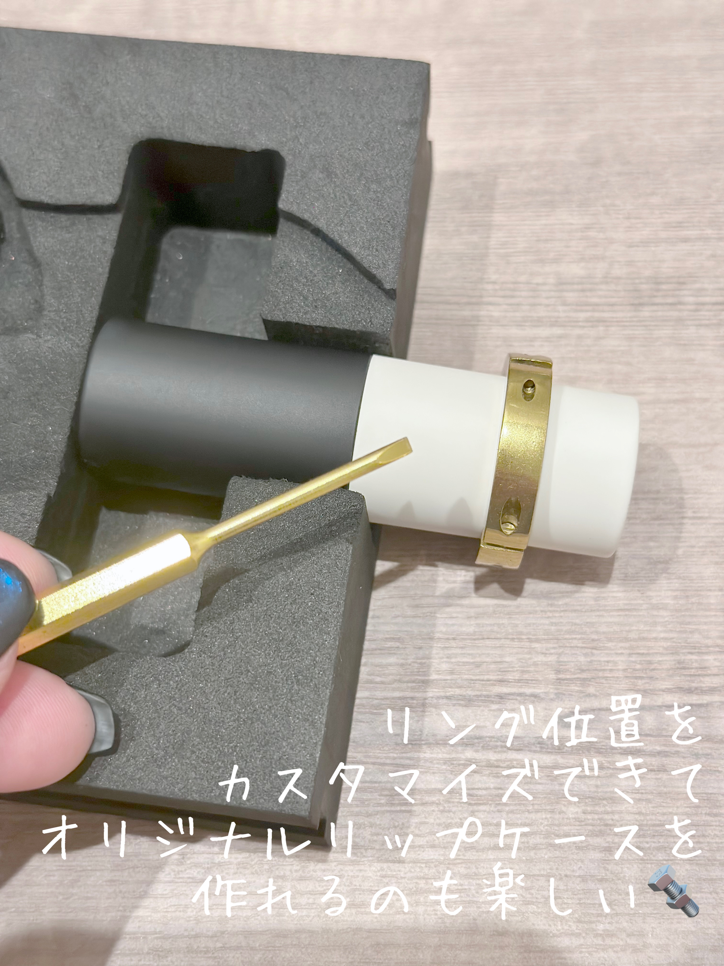 ザ リップ ネオ アニマ #マンモス レッド/アーレス/口紅を使ったクチコミ（3枚目）