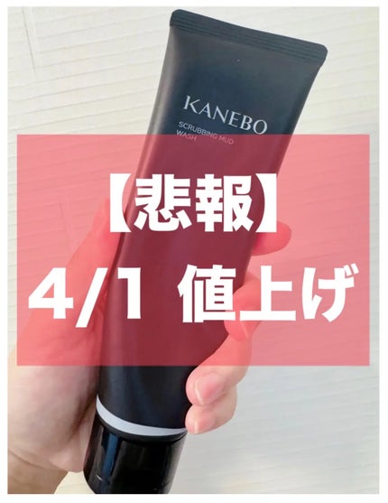 スクラビング マッド ウォッシュ/KANEBO/洗顔フォームを使ったクチコミ(1枚目)