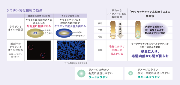 「エルジューダ」からハイダメージ毛をケアするアウトバストリートメント『エクストラリペア』シリーズが登場!の画像