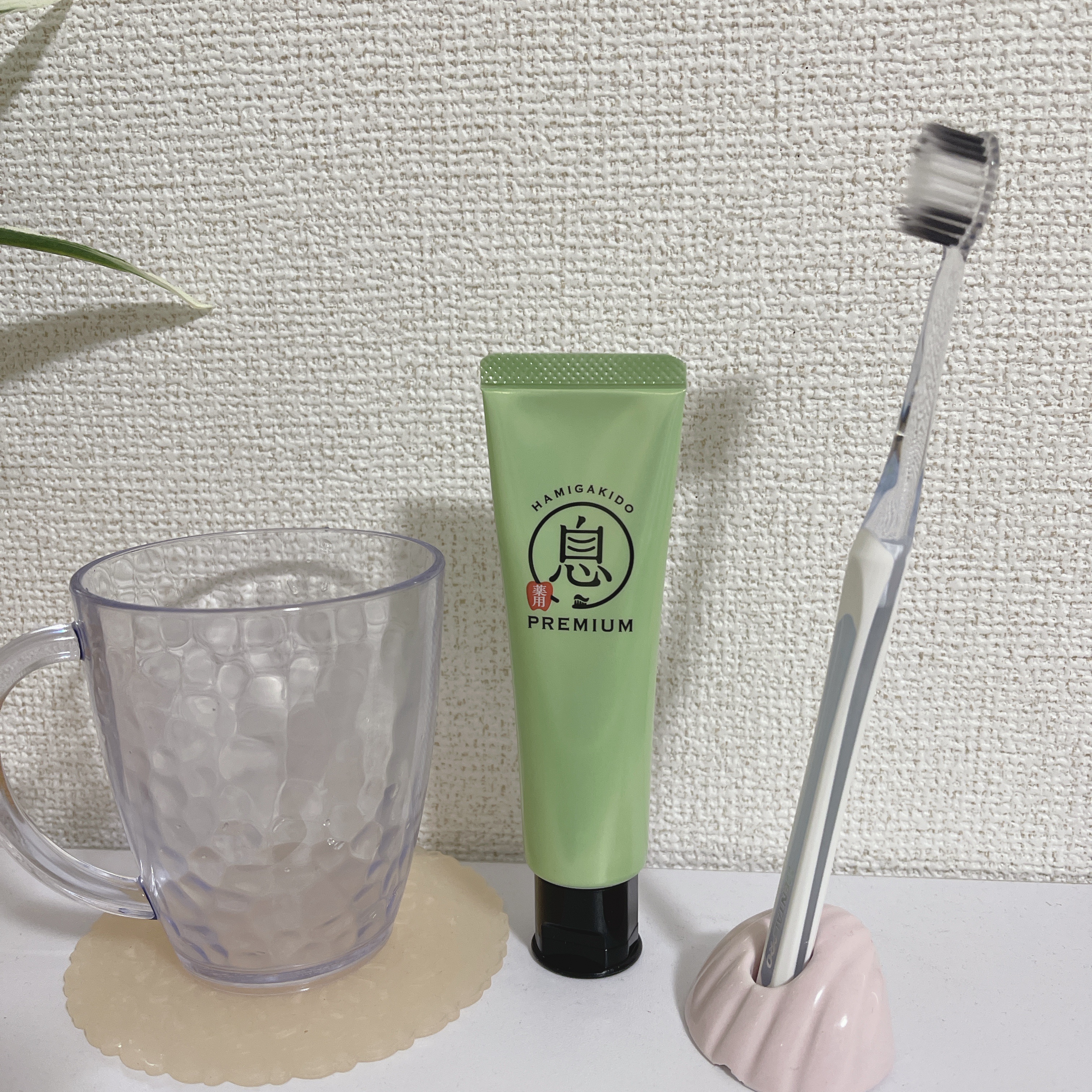 薬用フレッシュペースト【医薬部外品】/歯磨き堂/歯磨き粉を使ったクチコミ（2枚目）
