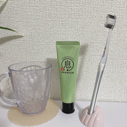 薬用フレッシュペースト【医薬部外品】/歯磨き堂/歯磨き粉を使ったクチコミ(2枚目)