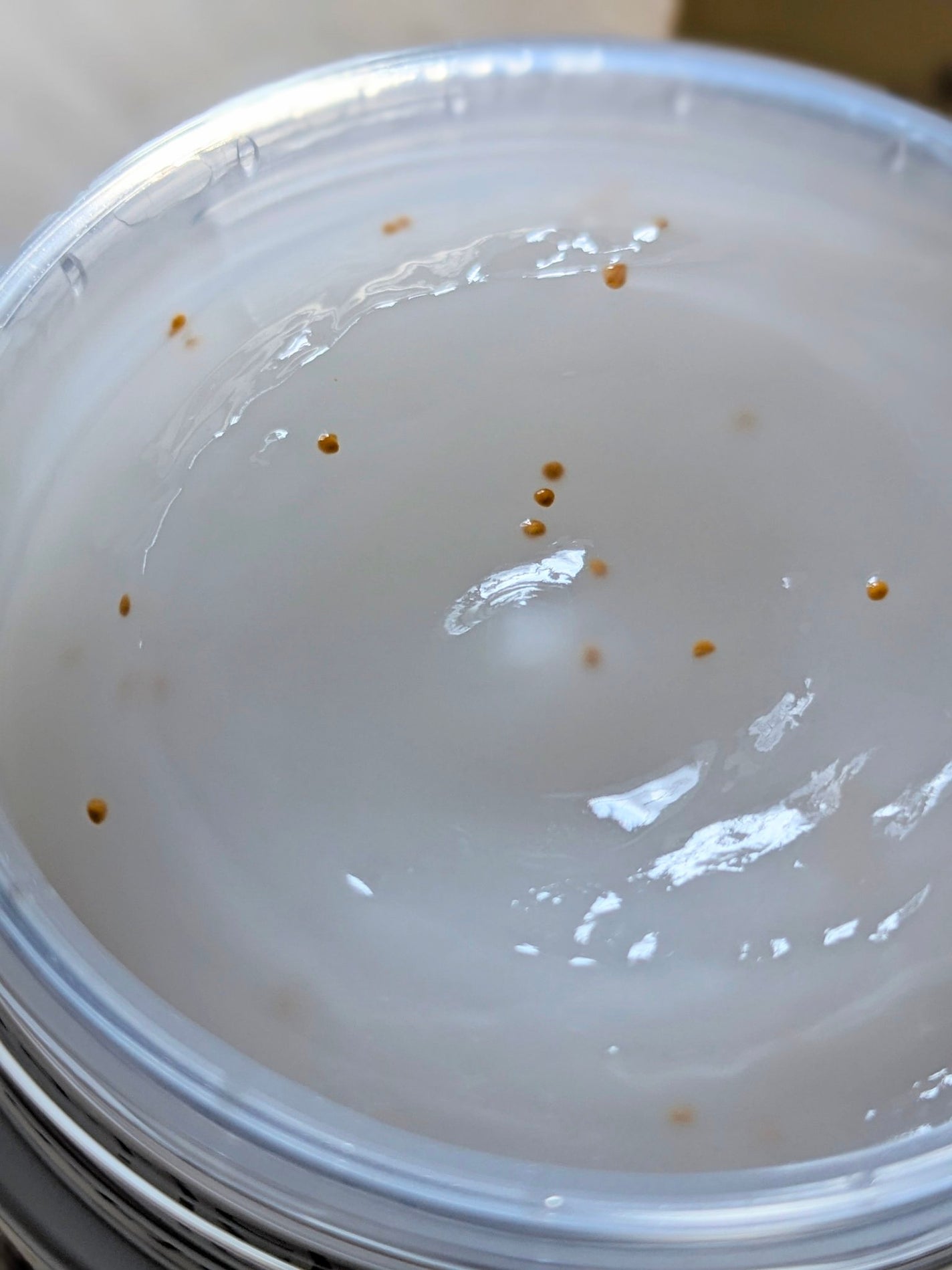 EX ブライトニングリフトジェル/コラリッチ/オールインワン化粧品を使ったクチコミ(3枚目)