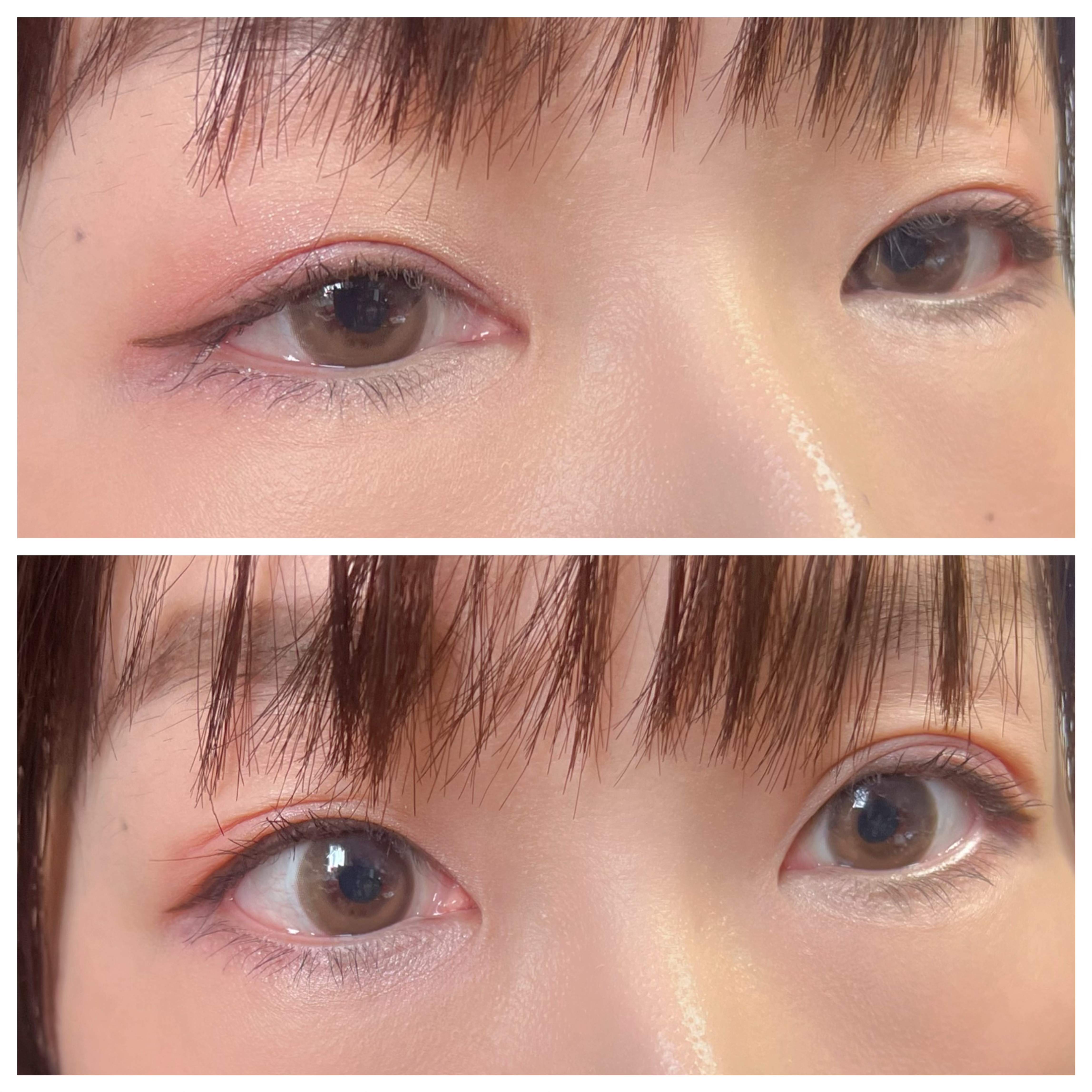 リミテッド エディション アイシャドウ パレット L/ESTEE LAUDER/アイシャドウパレットを使ったクチコミ（2枚目）