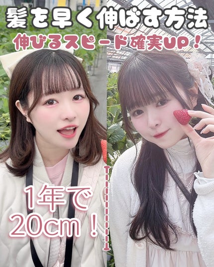 ヘアアクセルレーター レモンライムの香り/加美乃素本舗/頭皮ローションを使ったクチコミ(1枚目)