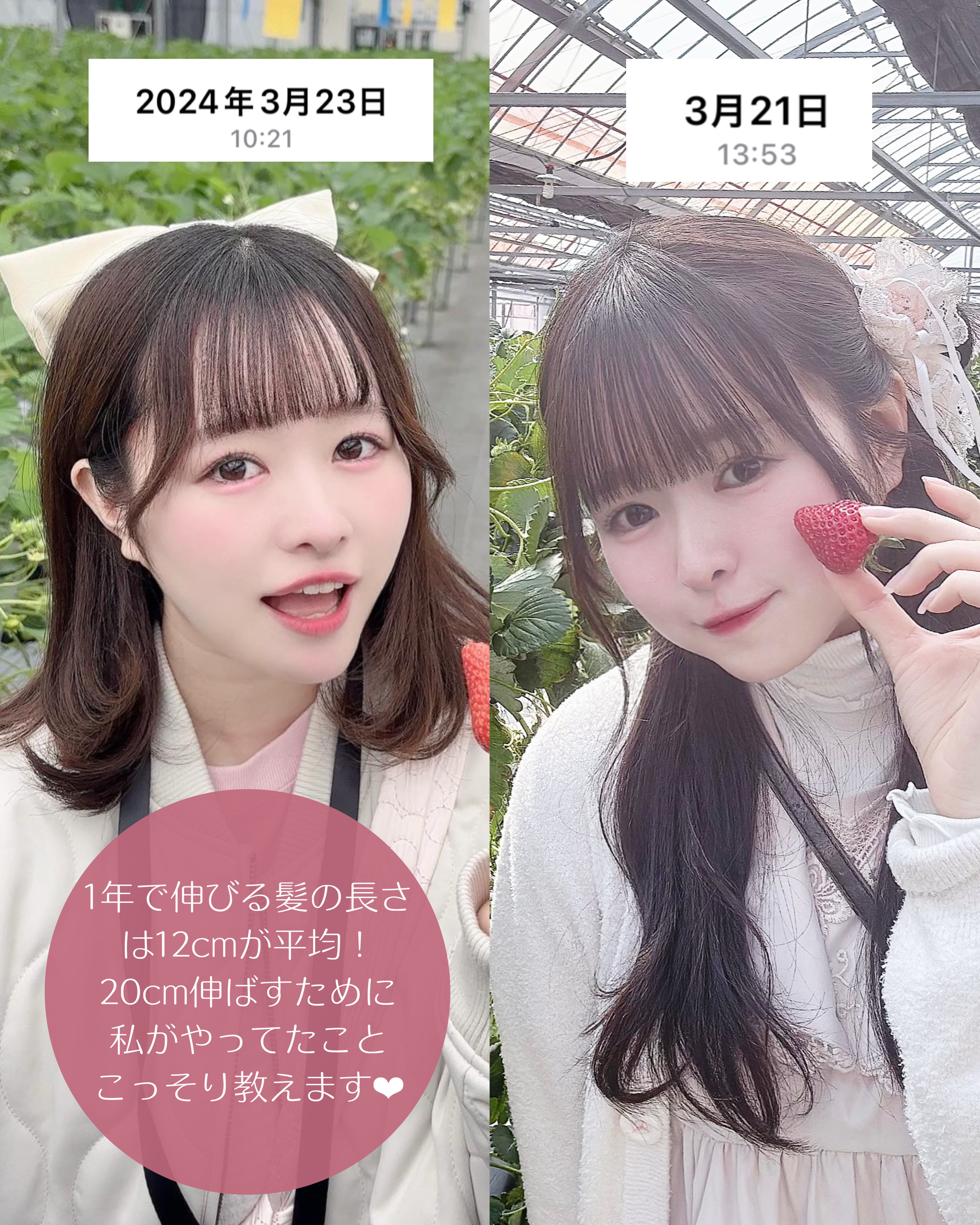 ヘアアクセルレーター レモンライムの香り/加美乃素本舗/頭皮ローションを使ったクチコミ（2枚目）