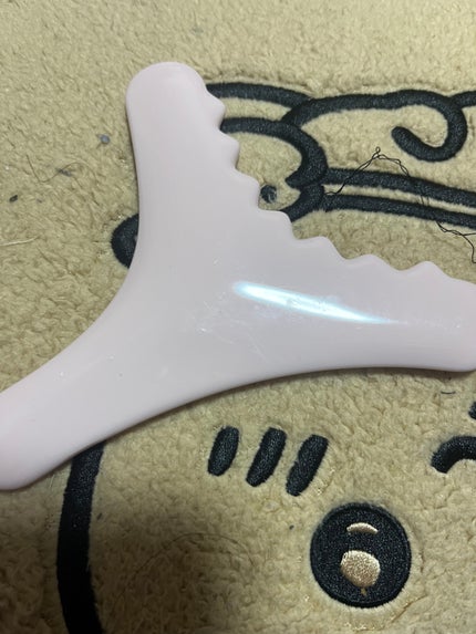 を使ったクチコミ(1枚目)