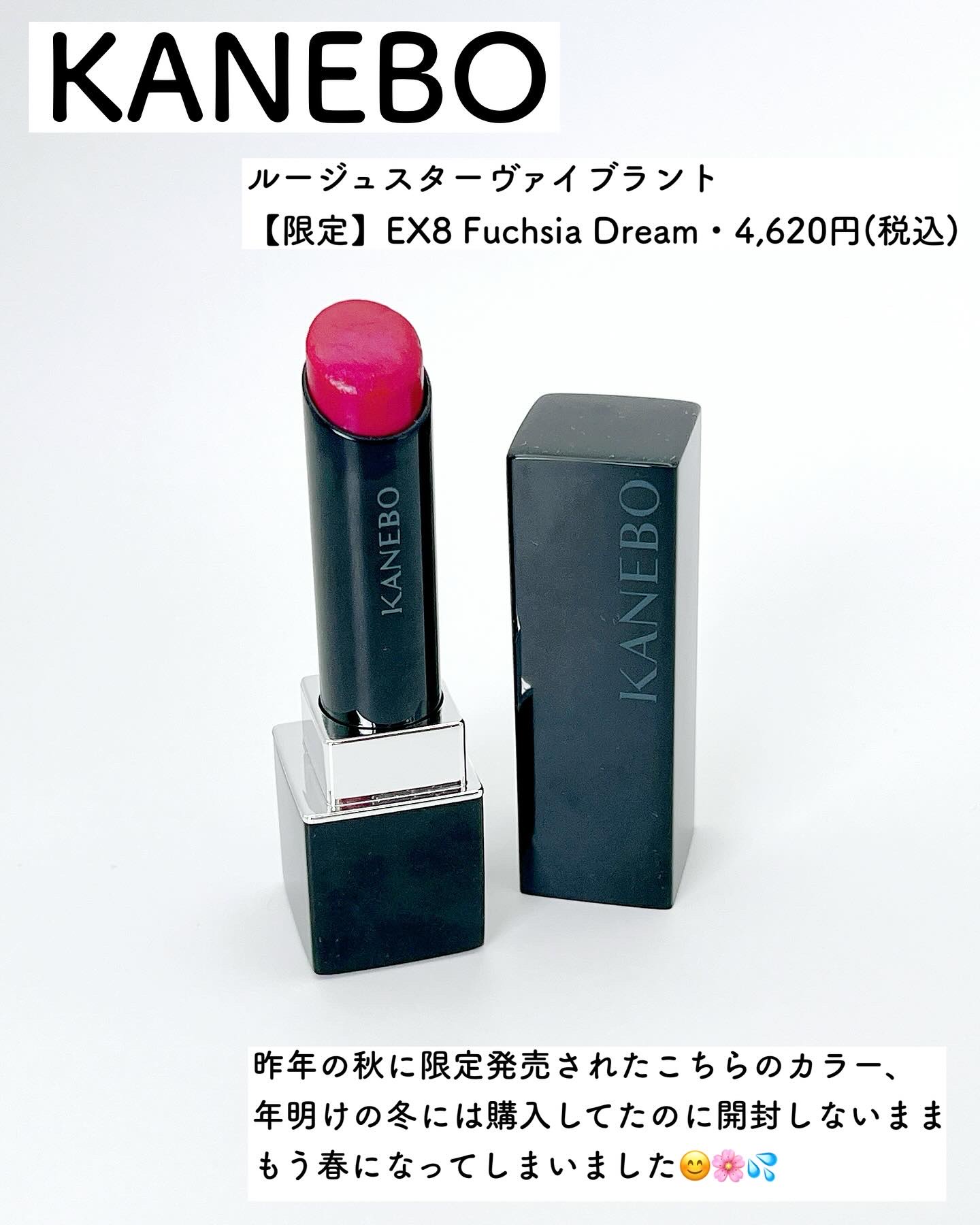 ルージュスターヴァイブラント/KANEBO/口紅を使ったクチコミ（2枚目）