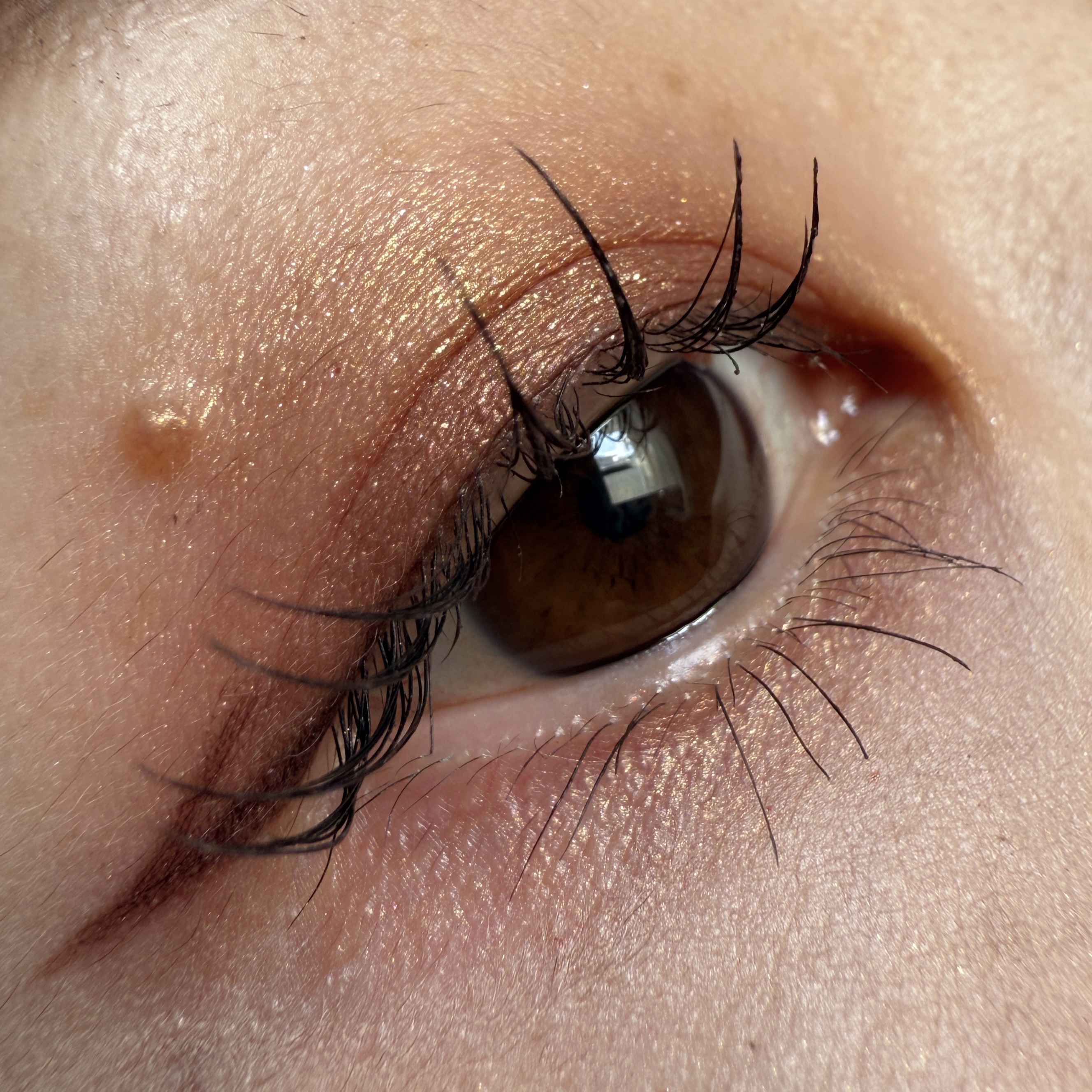 ダズルシャドウ/M・A・C/単色アイシャドウを使ったクチコミ（1枚目）