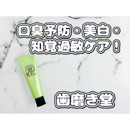 薬用フレッシュペースト【医薬部外品】 トライアル20g/歯磨き堂/歯磨き粉の画像