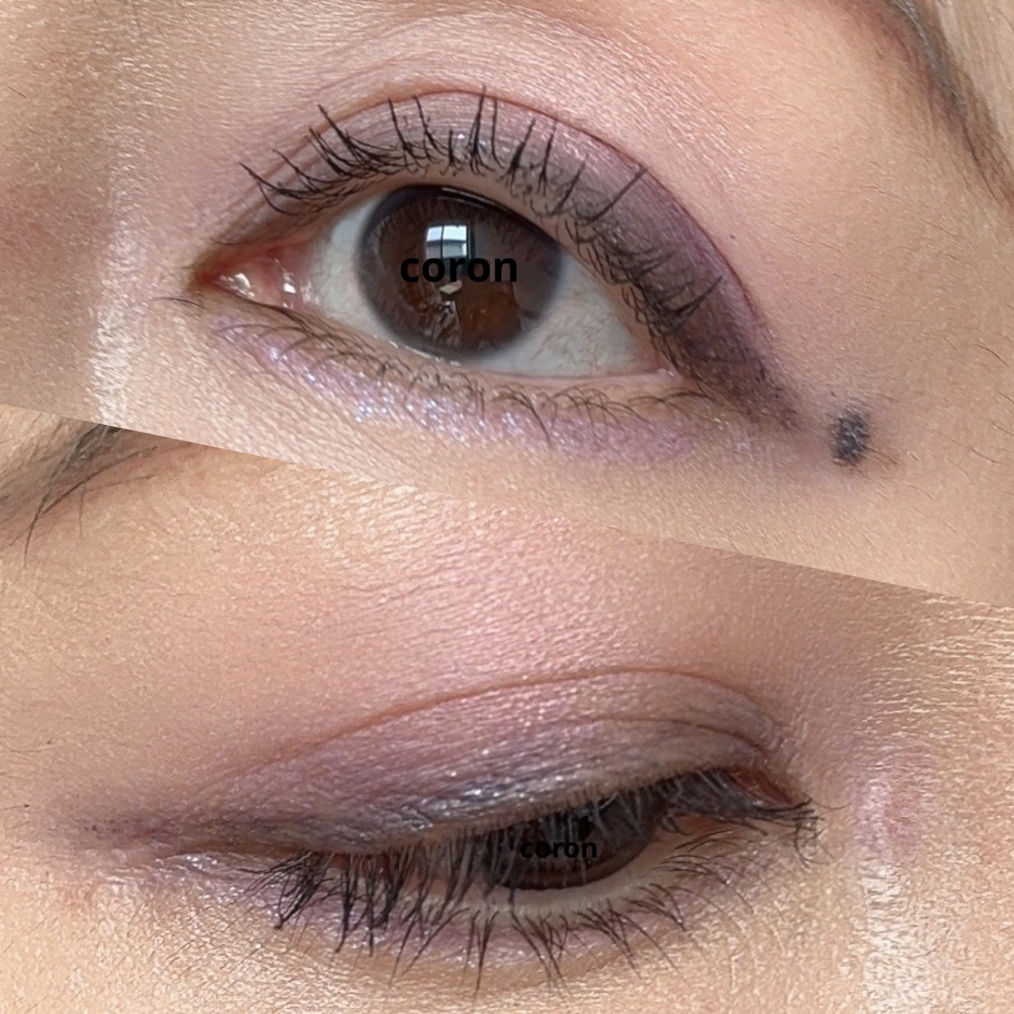 ジルスチュアート ムースブロウマスカラ/JILL STUART/眉マスカラを使ったクチコミ（2枚目）