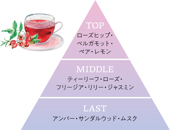 「エルジューダ」からハイダメージ毛をケアするアウトバストリートメント『エクストラリペア』シリーズが登場!の画像