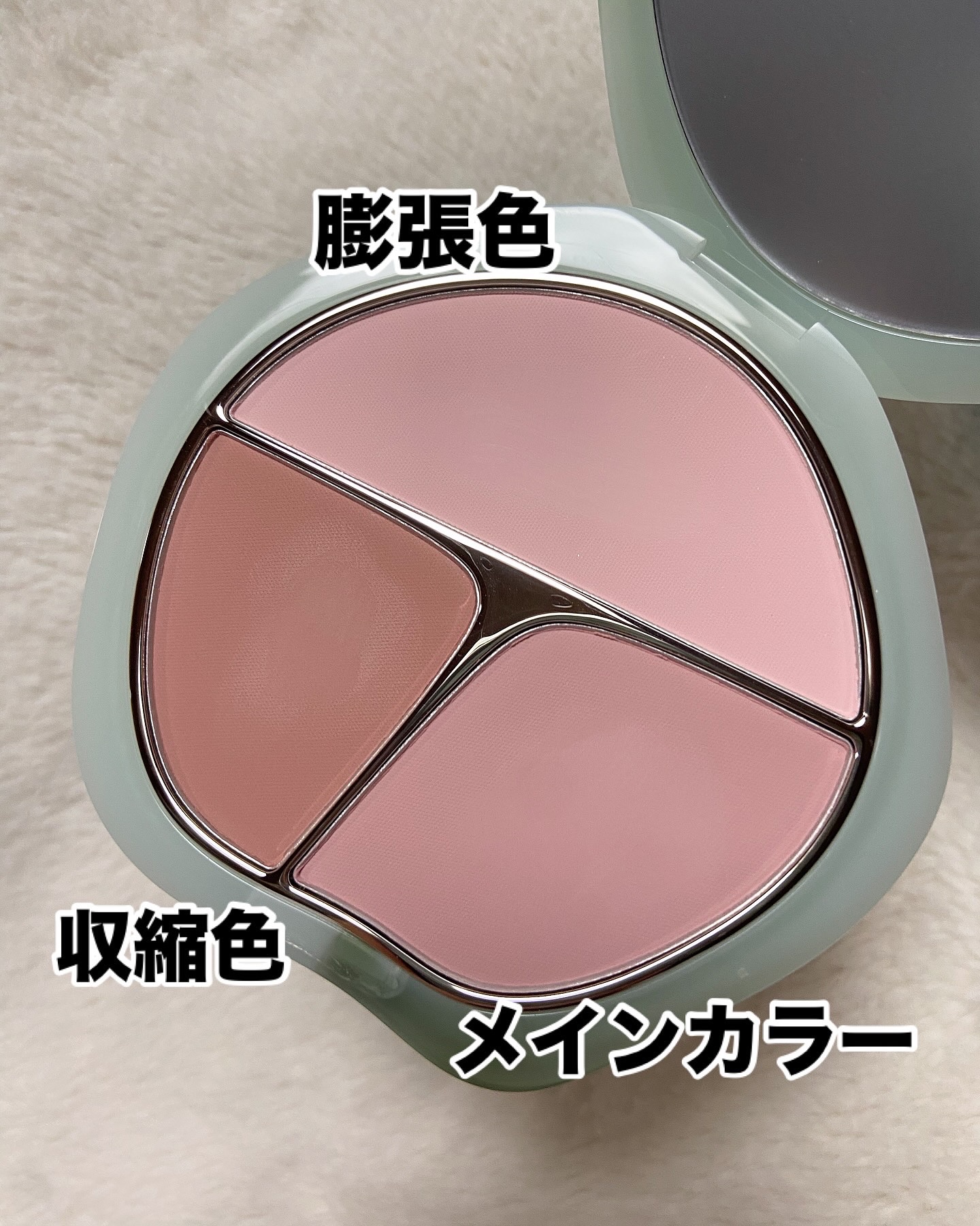 TIMAGE  3色チークパレット/TIMAGE/パウダーチークを使ったクチコミ（3枚目）