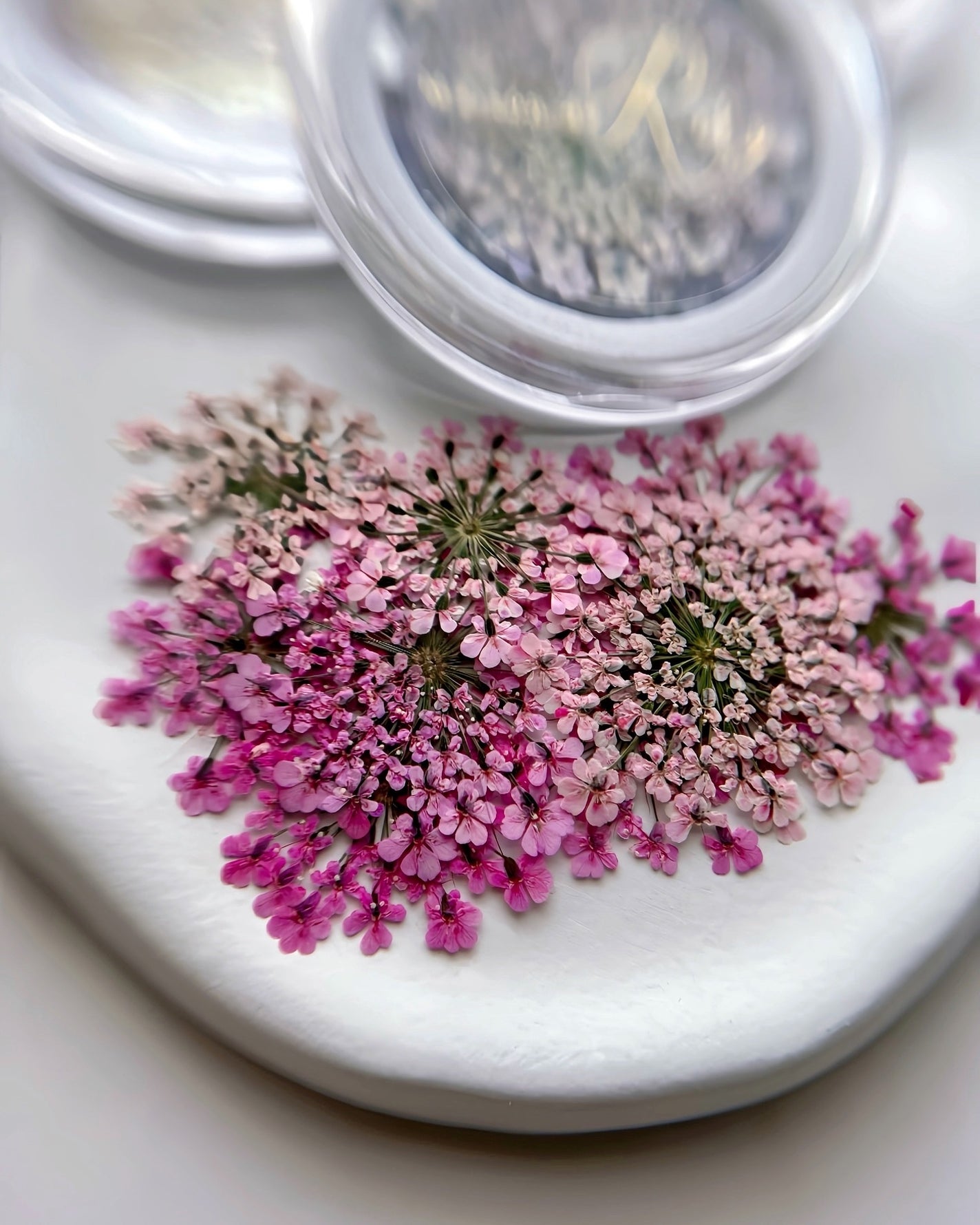 naomi on LIPS 「押し花届きました🫶大事に収穫されて大事に作られた押し花🥹✨..」(2枚目)