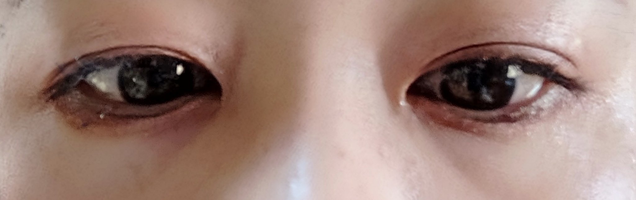 シグニチャー カラー アイズ/SUQQU/アイシャドウパレットを使ったクチコミ（3枚目）