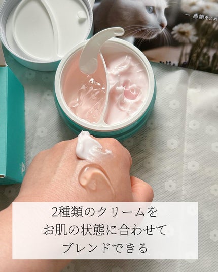 オールインワン/白ねこ化粧品/オールインワン化粧品を使ったクチコミ(4枚目)