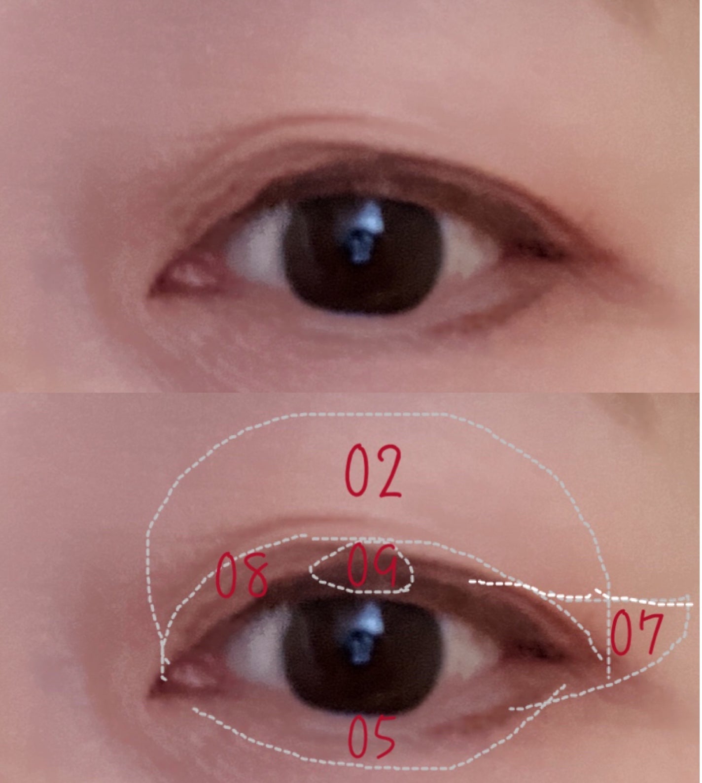 シャドウパレット/dasique/アイシャドウパレットを使ったクチコミ(7枚目)