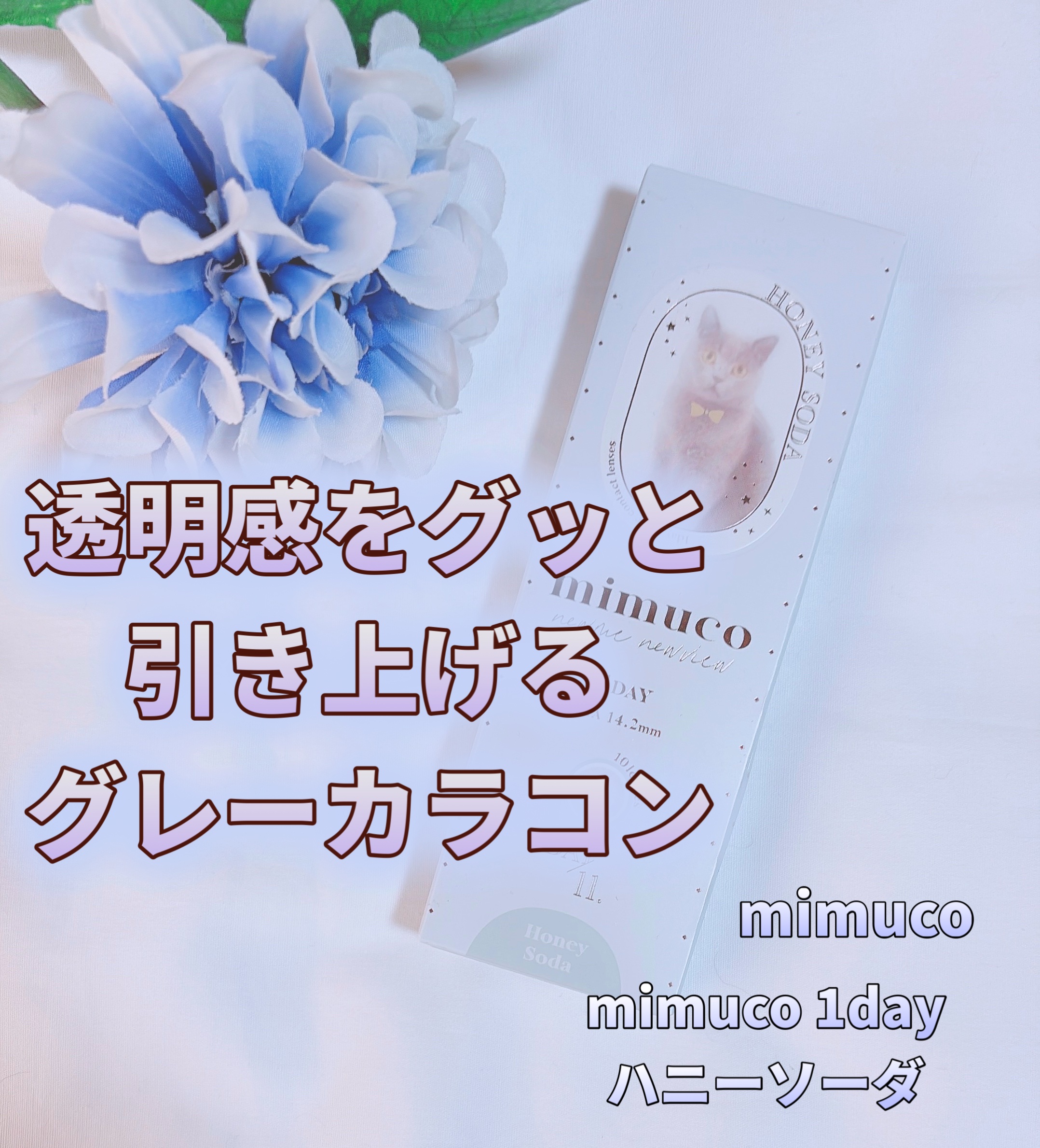 mimuco 1day/mimuco/ワンデー（１DAY）カラコンを使ったクチコミ（1枚目）