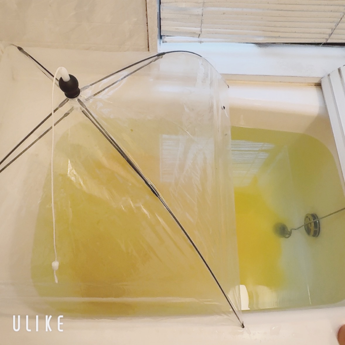 サウナ傘/サウナ傘/ボディグッズを使ったクチコミ（1枚目）