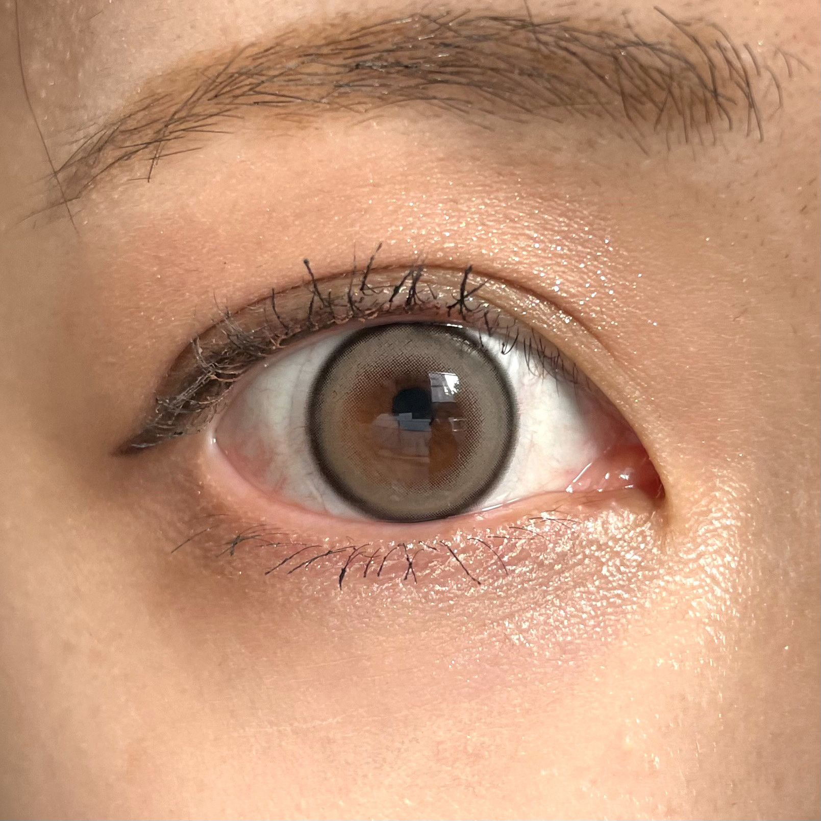 cicica 1day/cicica/ワンデー（１DAY）カラコンを使ったクチコミ（1枚目）