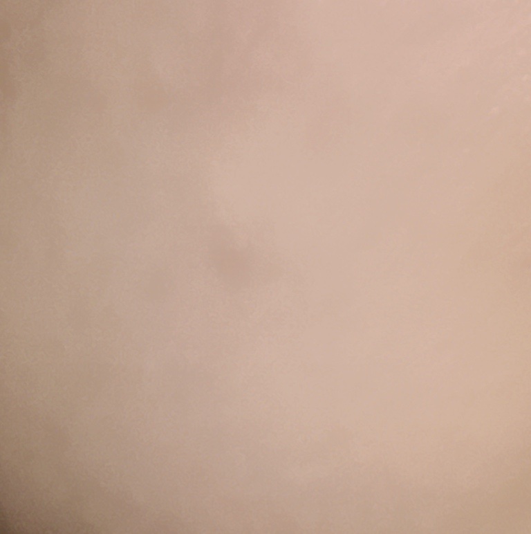 CICA クリーム/VT/フェイスクリームを使ったクチコミ（2枚目）