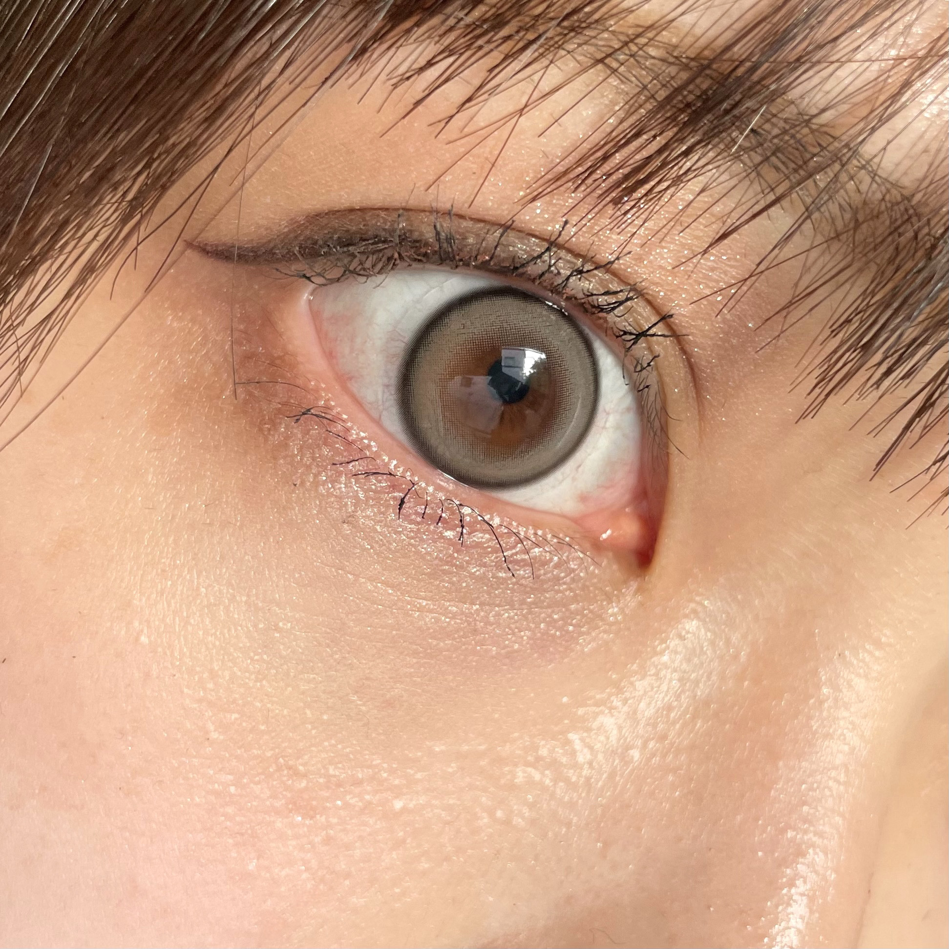 cicica 1day/cicica/ワンデー（１DAY）カラコンを使ったクチコミ（2枚目）