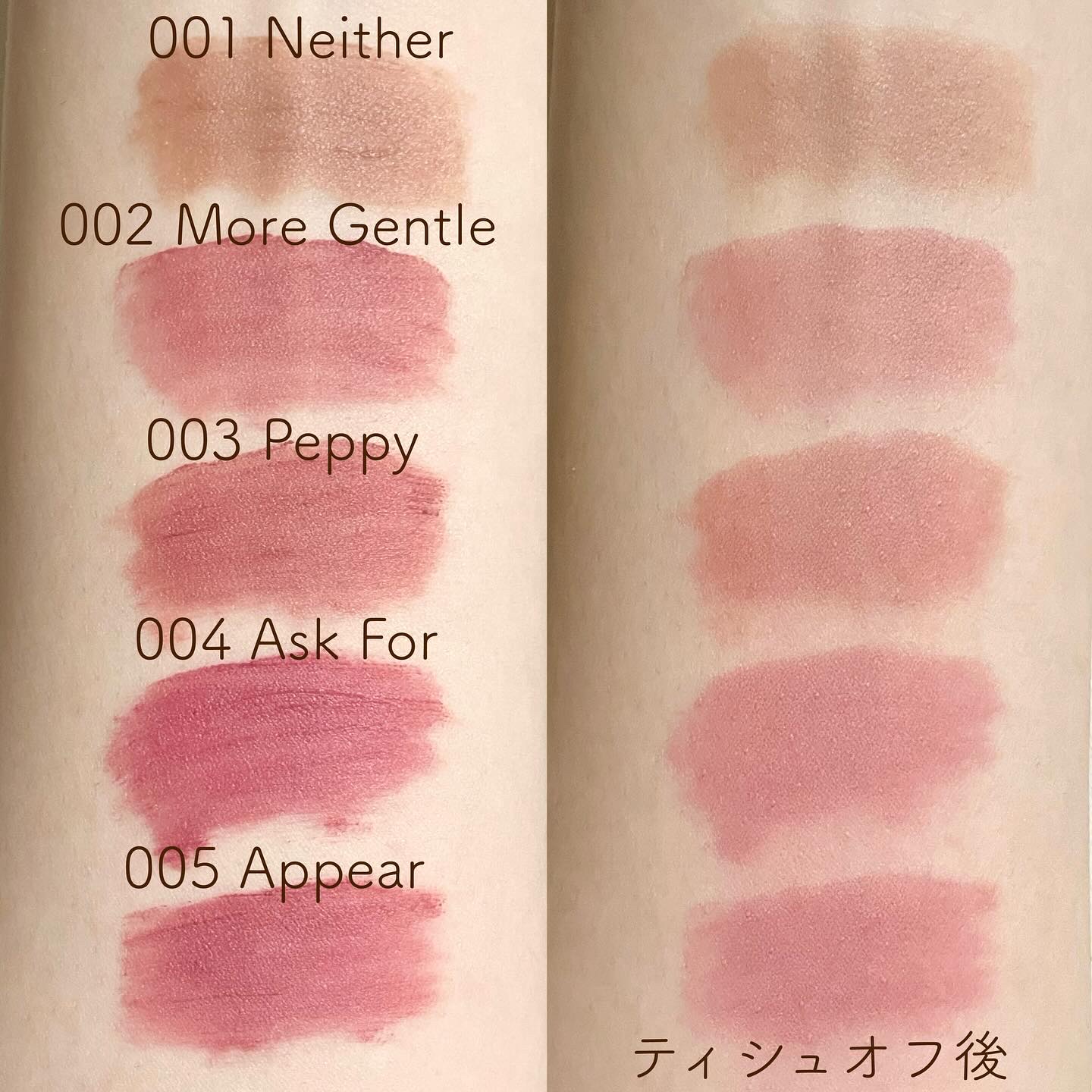 シルキーブラーティント/ArteSinsa/口紅を使ったクチコミ（3枚目）